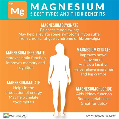 Optimize Your Energy Levels with Magic MSC Magnesium